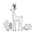 Hand drawn noble deer in the forest in line art contour style, isolated vector illustration