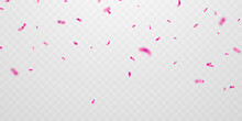 Celebration Background With Pink Confetti A Vector Illustration That Can Be Isolated From A Transparent Background.