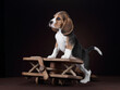 Cute little beagle puppy on a wooden plane