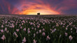 © ADDICTIVE STOCK - Picturesque view of green field with blooming flowers at sunrise