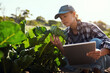 © Chanelle Malambo/peopleimages.com - You're looking nice and strong. Cropped shot of an attractive young female farmer using a tablet while working on her farm.