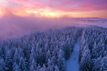 Wall Mural - magischer Winterwald