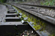 Mossy old railway close up