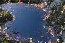 Puddle Of Water In Stone With Blue Sky Reflection And Autumn Leaves