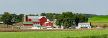 Amish Farm Setting With A Red Barn And Green Fields In Ohio's Amish Country