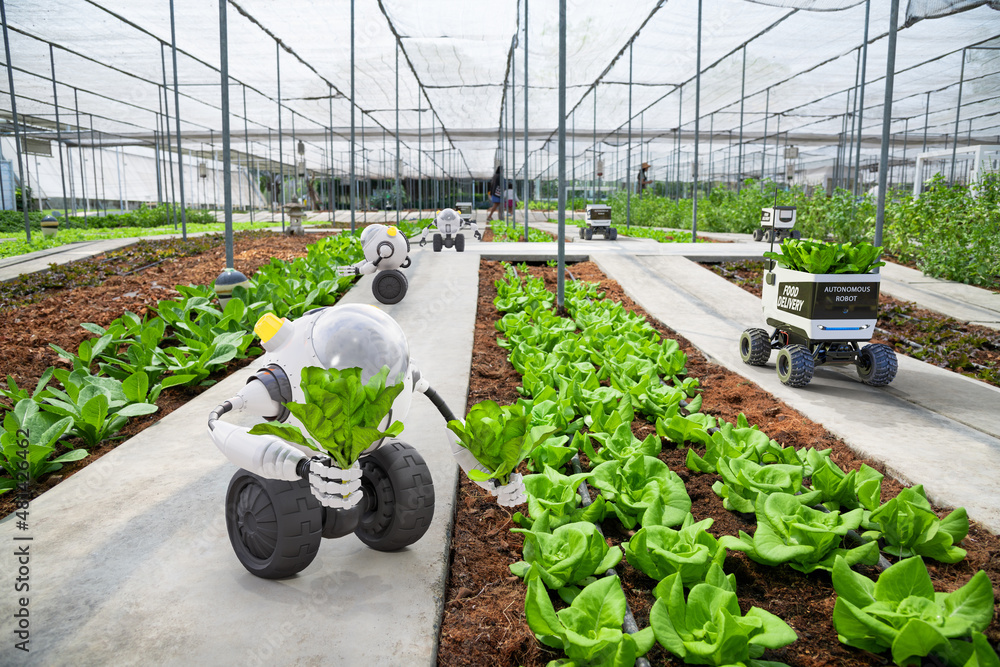 Agriculture robotic and autonomous car working in smart farm, Future 5G ...