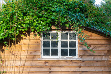 Old Window In A Wood Barn With Ivy