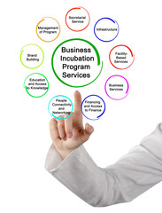 Sticker - Nine Business Incubation Program Services.