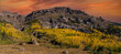 © Bob - A panorama of spen trees and rock hoodoos in the San Juan mountains near Ouray colorado