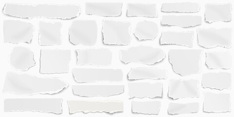 Wall Mural - Long set of paper different shapes scraps isolated on white background