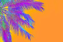 Bright Purple Holographic Neon Colored Palm Tree In Abstract Style On Orange Background. Night Club Beach Party Flyer Template With Copy Space. Retro 60s Vibe Style Creative Summer Design Concept 
