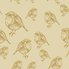 Seamless Monochrome Animal Pattern With Silhouettes Of European Robin (Erithacus Rubecula) Or Redbreast Bird. Hand Drawn Rough Doodle Sketches.