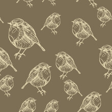 Seamless Monochrome Animal Pattern With Silhouettes Of European Robin (Erithacus Rubecula) Or Redbreast Bird. Hand Drawn Rough Doodle Sketches.	