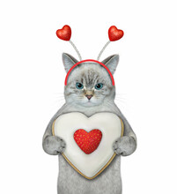 An Ashen Cat In A Holiday Headband Holds A Heart Shaped Biscuit. White Background. Isolated.