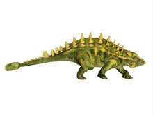 Talarurus Dinosaur Walking - Talarurus Was An Armored Ankylosaurus Dinosaur That Lived In Mongolia During The Cretaceous Period.