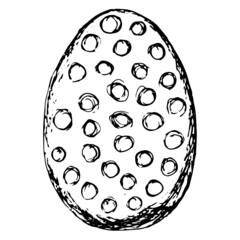Wall Mural - Black and white hand-drawn sketch of the easter egg with circle pattern. Simple vector rough pencil drawing isolated on transparent background