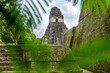 Ruinas y templos mayas de la antigua ciudad de Tikal en la selva - Tikal, Petén, Guatemala