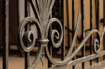 Wall Mural - Decorative wrought iron fence elements, modern exterior