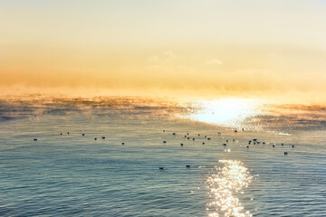 Sea winter landscape. Soaring sea from frost at dawn