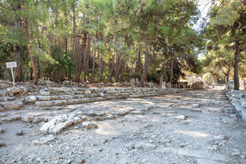 Wall Mural - Ruins of the aqueduct of the ancient ancient city of Phaselis illuminated by the bright sun in Pine forest, woods in sunny weather in Turkey, Antalya, Kemer. Turkey national nature landmarks.