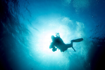 scuba diver silhouette in the blue sea