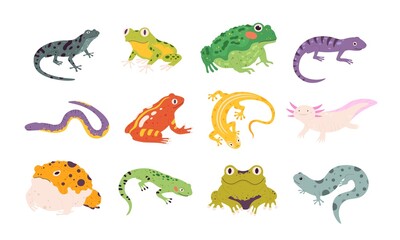 Wall Mural - Cartoon exotic amphibian and reptiles, lizards, newts, toads and frogs. Tropical animals, gecko, triton, salamander and axolotl vector set