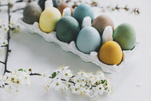 Happy Easter! Stylish Easter eggs and cherry blossoms on rustic white wooden background. Natural dyed colorful pastel eggs in tray and spring flowers on rustic table. Countryside still life