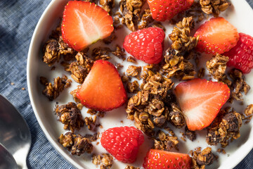 Healthy Homemade Chocolate Granola