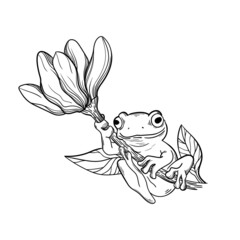 vector illustration frog line flower leaves