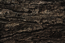 Old Cracked Tree Bark Close Up As Background, Web Banner, Poster