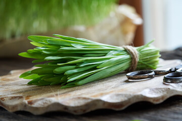 Fresh young green barley grass on a table