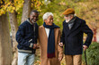 © LIGHTFIELD STUDIOS - Interracial grey haired men smiling in autumn park.