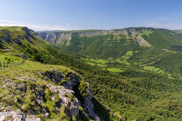 Wall Mural - Nervion river canyon in Delika, Araba, Basque Country, Spain.