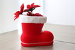 red Christmas gift box with plants