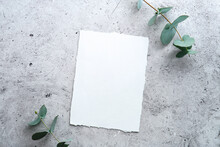 Blank Paper Card Wedding Invitation Mockup With Eucalyptus Branches On Concrete Table.