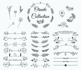 Wall Mural - set floral elements rustic wedding ornaments invitation