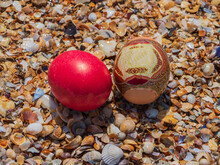 Easter Eggs On The Beach In Shells. Colorful Easter Eggs Surrounded By Seashells On The Ocean Beach. Happy Easter Holiday. Space For Text