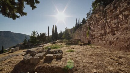 Wall Mural - Delphi - moving through trees towards the ruins