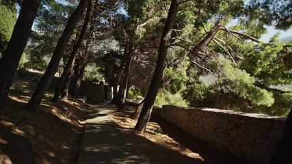 Wall Mural - Flying through the pines besides an ancient greek chapel with golden sunbeams