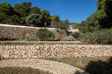 Mediterranean garden of native plants, Sa Dragonera natural park, Mallorca, Balearic Islands, Spain