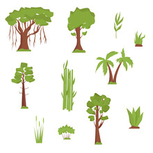 Vegetation Of India. Trees And Grass. Banyan, Palm Trees, Bamboo, Sandalwood, Coniferous Trees In Flat Design