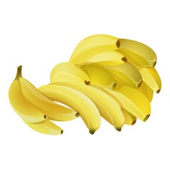 Wall Mural - Exotic bananas icon cartoon vector. Fresh fruit