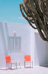 Trendy tropical location. Minimalist wallpaper. Travel. Canary Island