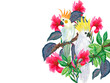 Botanical plant canna lily and white cockatoo on an isolated white background, watercolor illustration, template