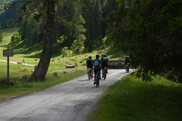 Wall Mural - bicicletta bosco 