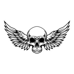 Wall Mural - Winged skull . Design element for emblem, sign, badge, logo. Vector illustration