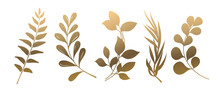 Set Of Beautiful Gold  Leaves Plants, Leaves, Plant Design. Vector Illustration 2.