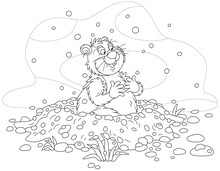 Funny Fat Groundhog With Chubby Cheeks Looking Out Of Its Burrow On A Cold Winter Day, Black And White Outline Vector Cartoon Illustration For A Coloring Book Page