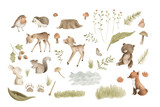 Fototapeta Dziecięca - Woodland Animals watercolor forest illustration baby illustration