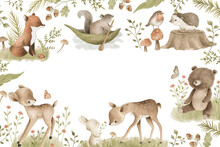 Woodland Animals Watercolor Forest Illustration Baby Illustration